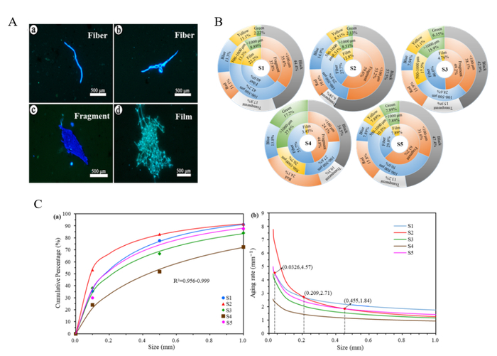 图3 围垦区土工布微塑料（A）物理形貌表征（B）形态特征定量评价结果及（C）风化特征模拟结果图