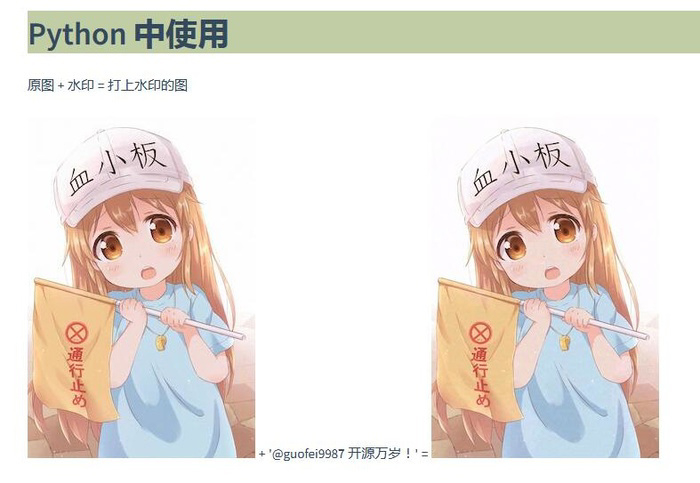 ▲ blind_watermark 向图片添加文字盲水印的案例