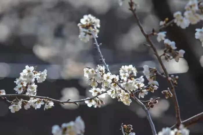 邱家德 周振兴 摄