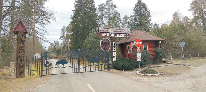 　　这是3月2日在白俄罗斯和波兰边境拍摄的别洛韦日森林自然保护区的一个入口。新华社记者 张继业摄