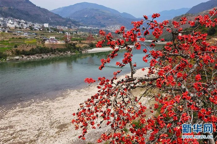 施甸县融媒体中心 供图