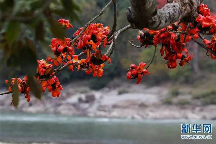 施甸县融媒体中心 供图