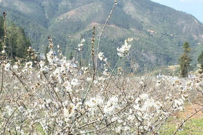 普文庆  杨瑞雪 摄