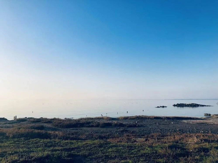 （小L家附近的湖，图源小L）