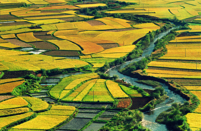 安宁河流域物产丰富（西昌市委宣传部供图）