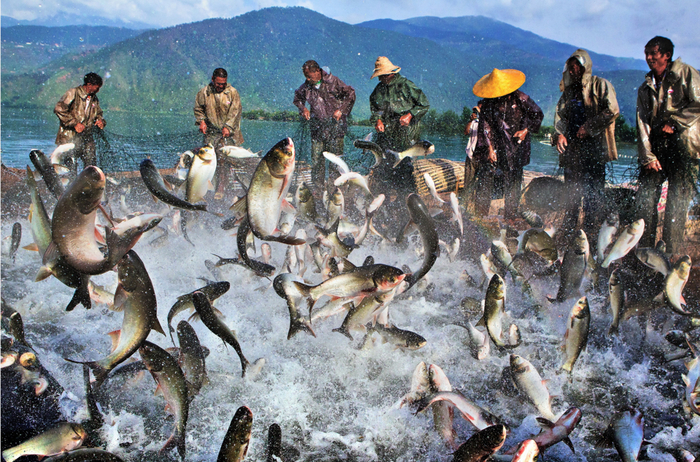 安宁河流域物产丰富（西昌市委宣传部供图）