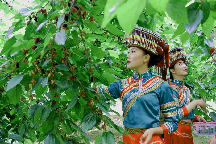 安宁河流域物产丰富（余洋供图）