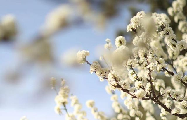 图/新京报贝壳财经记者 郑艺佳 摄