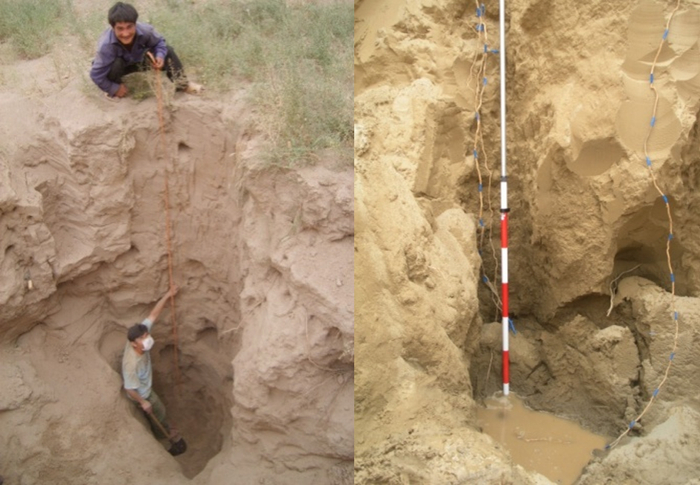 骆驼刺根系的挖掘（左）和深达地下水的根系（右）（图片来源 ：策勒国家站）