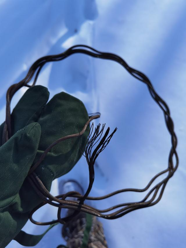 女子巡护队清除的猎套。受访者供图