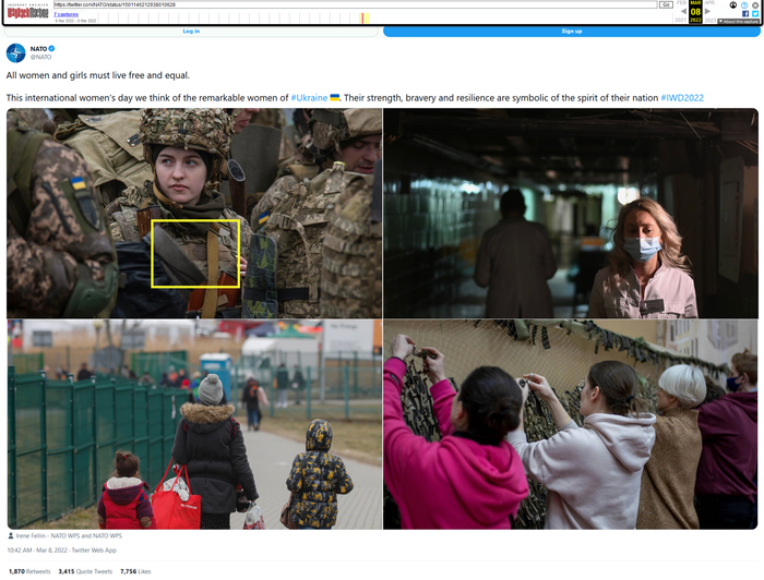 截图自互联网档案网站“Wayback Machine”
