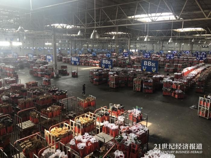 （花拍中心鲜切花待拍区 舒晓婷/摄）