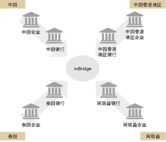 资料来源：mBridge用例手册，中金公司研究部