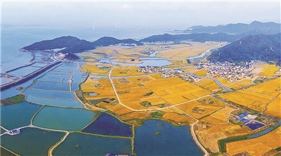     图为象山海山美景。（沈洋　摄）