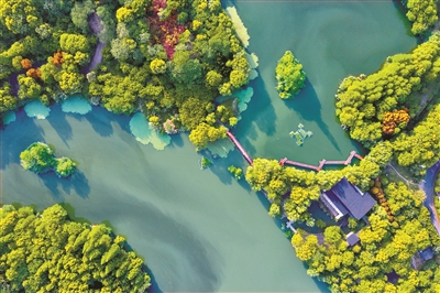     慈湖 通讯员 王雪珍 供图