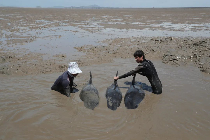 搁浅现场（图 | 人民视觉）
