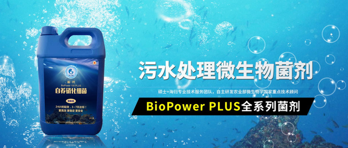 ▲吴定心与团队研发的硝化细菌菌剂