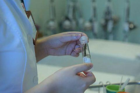 △资料图：医用活体水蛭 图源广西国际壮医医院