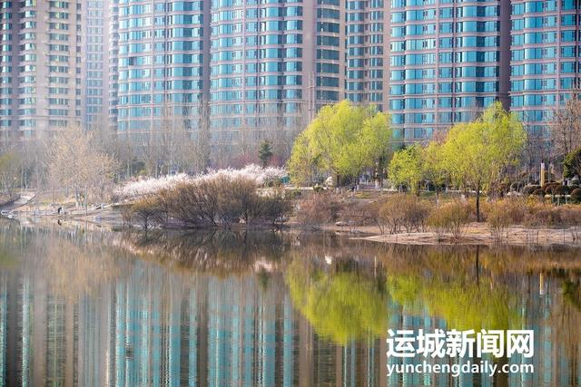  3月10日，运城市禹都公园呈现秀美的春日景色。记者 闫鑫 摄