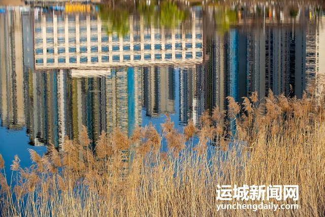  3月10日，运城市禹都公园呈现秀美的春日景色。记者 闫鑫 摄