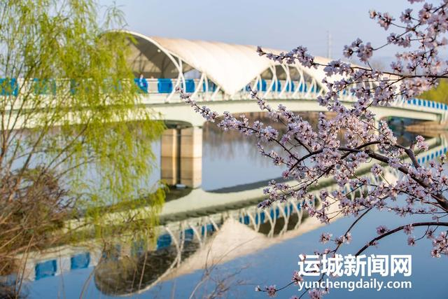  3月10日，运城市禹都公园呈现秀美的春日景色。记者 闫鑫 摄