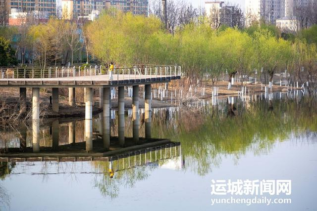  3月10日，运城市禹都公园呈现秀美的春日景色。记者 闫鑫 摄