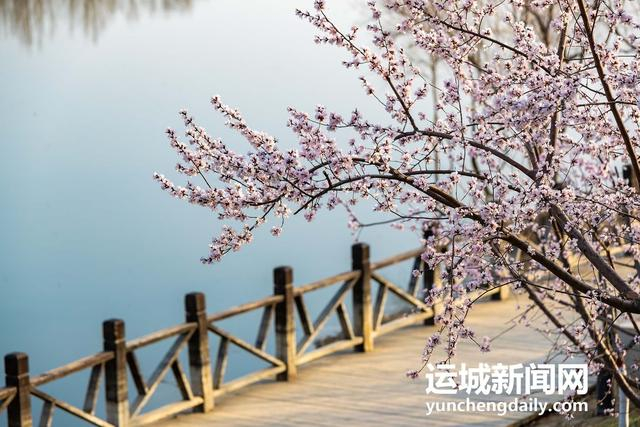  3月10日，运城市禹都公园呈现秀美的春日景色。记者 闫鑫 摄