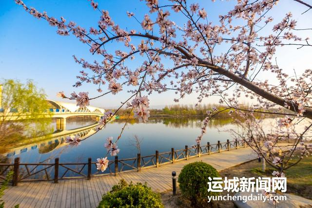  3月10日，运城市禹都公园呈现秀美的春日景色。记者 闫鑫 摄