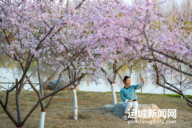  3月10日，运城市禹都公园呈现秀美的春日景色。记者 闫鑫 摄