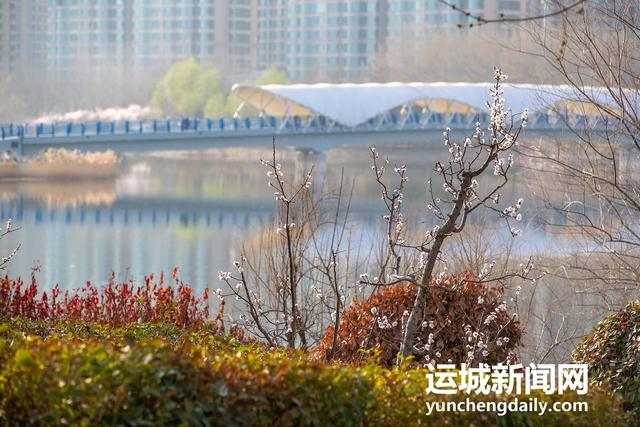  3月10日，运城市禹都公园呈现秀美的春日景色。记者 闫鑫 摄