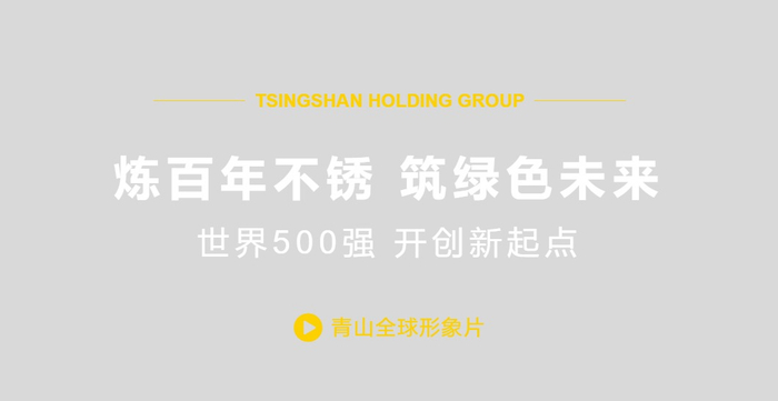 图片来源：青山控股官网截图