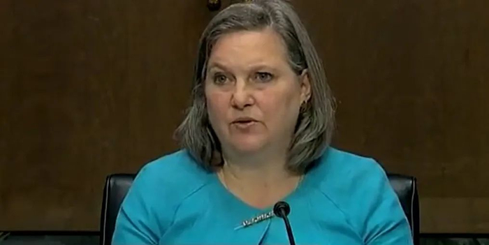 · 美国副国务卿纽兰在国会听证会上。（视频截图）