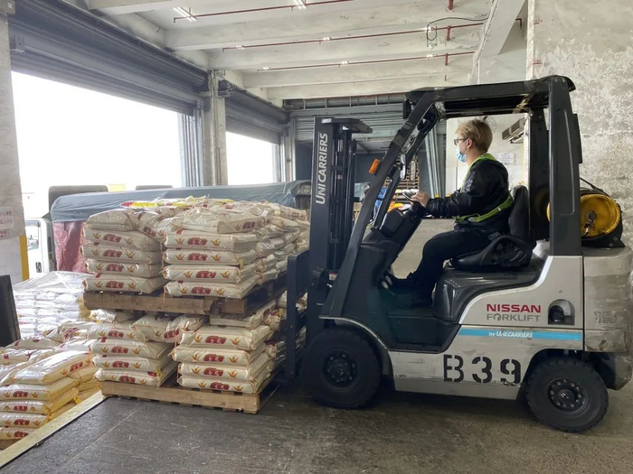  仓库操作人员加班加点进行大米进出仓操作