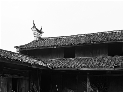     ◀竹林尚存的民国老宅