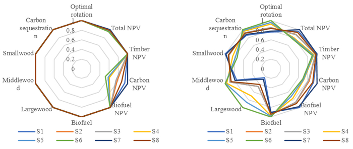 图3 不同碳计量策略长白落叶松人工林经营成效分析