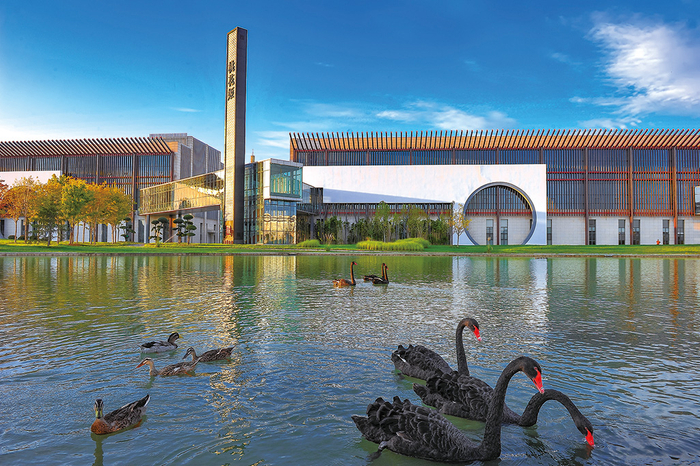 漫步东阿阿胶智慧园区，花闲水自流，天鹅两相游，仿佛进入一个风景优美的现代公园。