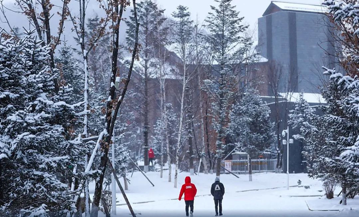 来源：携程官网
