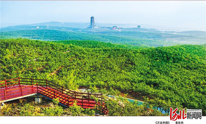 赞皇万亩枣园远景。 河北日报通讯员姜世科摄