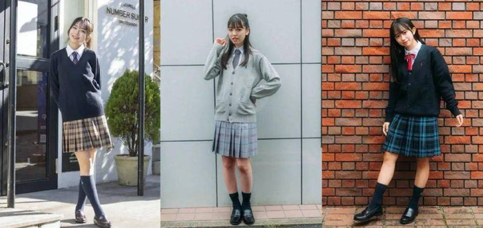 图片源于网络  图文无关