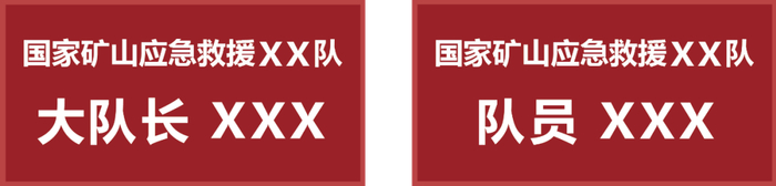 图3 软胸标图形
