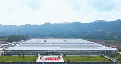 位于重庆两江新区的三一重工西南地区首个智能化工厂项目外景。新华社记者 徐 钦摄