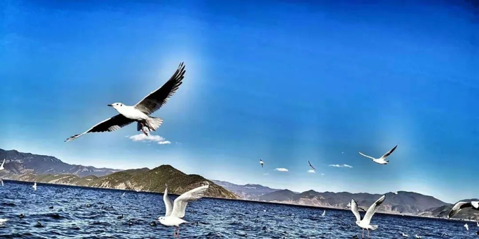 泸沽湖 宁蒗县委宣传部供图