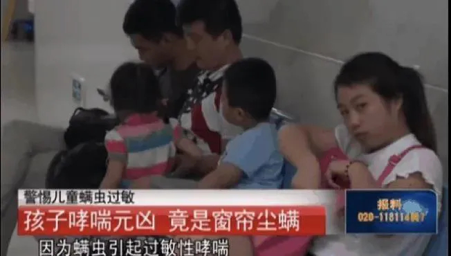 螨虫危害性这么大，怎么才能驱螨？