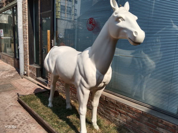 使用vivo Y33s拍摄