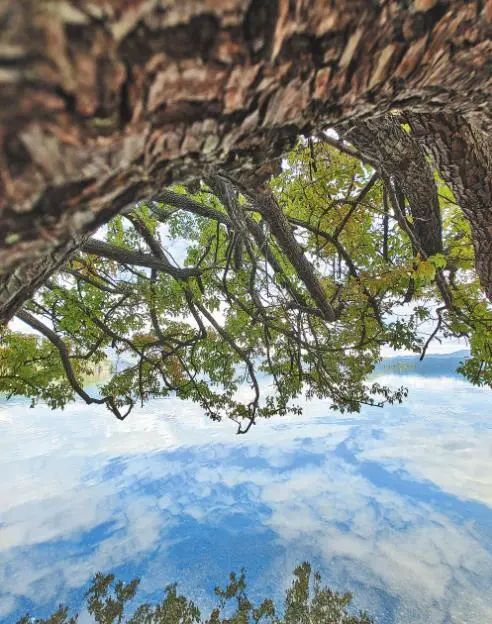 泸沽湖风光 新华社记者 邢广利 摄