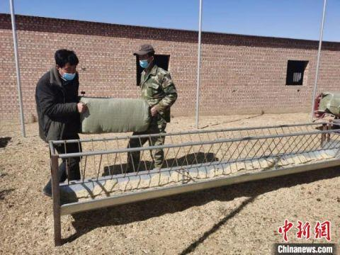 图为张建华添加草料。　朱智慧 摄