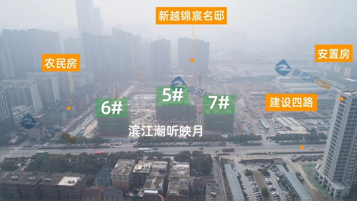 滨江潮听映月实景