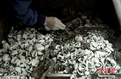 墨西哥城发现500年前阿兹特克祭坛