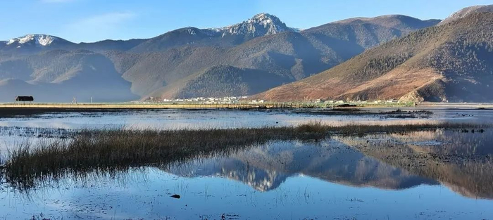 纳帕海湿地 杨学飞 摄