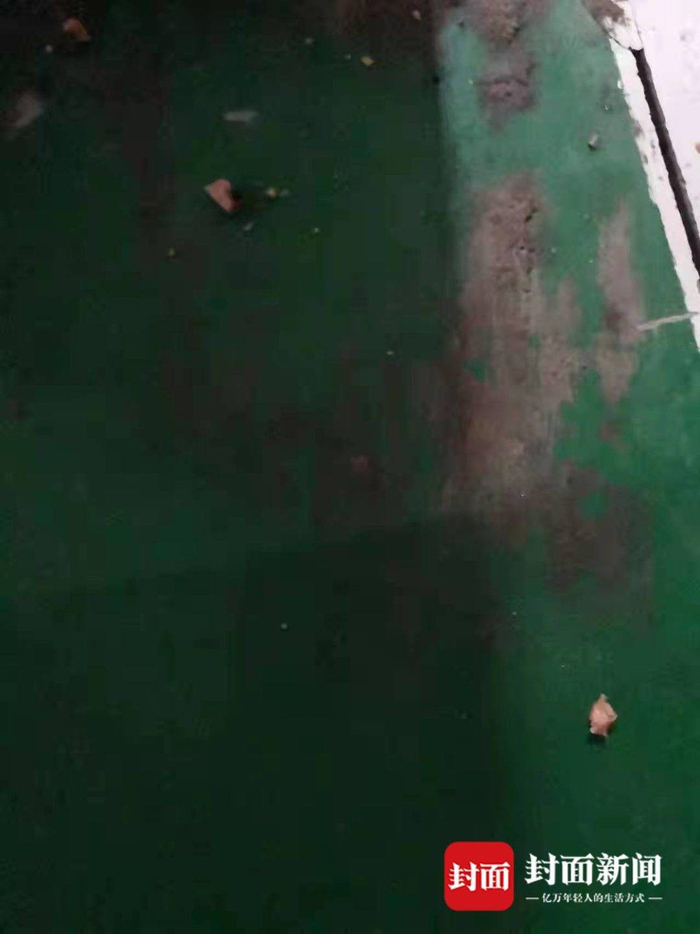 车库地面的火腿肠碎粒 图片由受访者黄女士提供